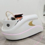 Pedicure Chair Manufacturer - 2024 Newest Chair Design Spa Nursing