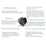 Body Analyzer Manufacturer - Digital Composition Quantum Standing