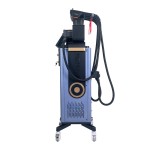Laser Removal Factory - Professional Q Switched Nd Yag Picosecond