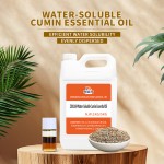 孜然提取物供应商-纯天然CO2萃取水溶性食品级