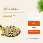 茴香籽油树脂生产厂家-纯SCF-CO2萃取食品添加剂