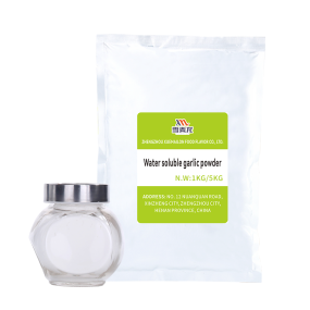 Garlic Powder Extract Supplier - High Quality Instant Garlic Powder Processing