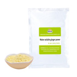 姜粉提取物生产厂家-高品质姜精油基料
