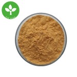 Sea Buckthorn Powder Supplier - Food Grade Organic Fruit Powder