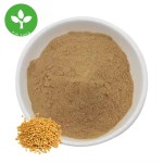 Fenugreek Saponin Powder Supplier - Wholesale Fenugreek Seed Extract