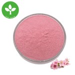 Sakura Powder Manufacturer - Food Grade Organic Sakura Powder