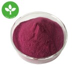 Blueberry Powder Factory - Food Grade Organic Blueberry Juice Powder