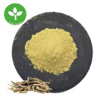 Kavalactones Powder Manufacturer - Natural Kava Root Extract Powder