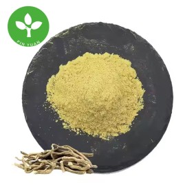 Kavalactones Powder Manufacturer - Natural Kava Root Extract Powder