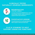 Nootropic Capsules Supplier - Vitamins B6 B12 Phosphatidylserine Capsules