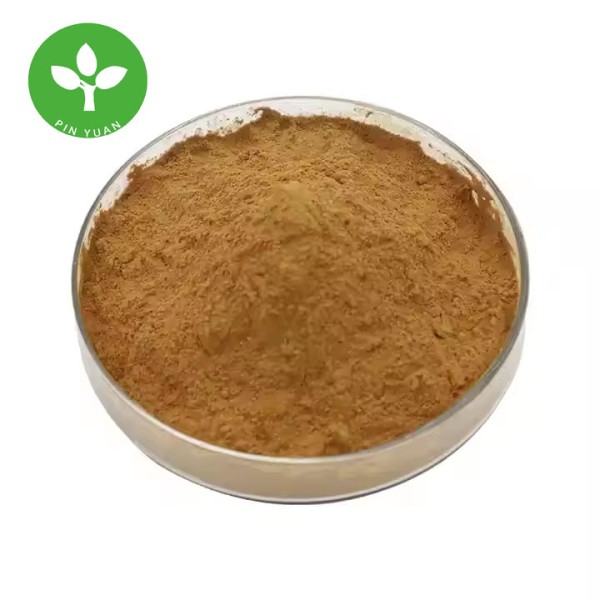 Withanolides Powder Factory - Natural Ashwagandha Root Extract 2.5-5%