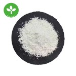 Resveratrol Powder Factory - Natural Healthcare Supplement 99% Trans