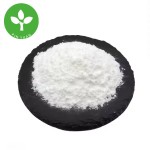 EGCG Powder Manufacturer - High Quality Green Tea Extract 98% HPLC