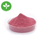Beetroot Powder Supplier - Natural Pigment Food Grade Organic Powder