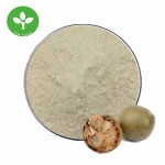 Mogroside V Powder Manufacturer - Organic Monk Fruit Extract Sweetener
