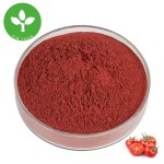 Tomato Powder Supplier - Food Grade Organic Tomato Powder