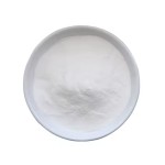 Nisin Powder Supplier - E234 Bacteriocin Food Preservative Powder