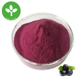 阿萨伊浆果粉末厂家-食品级有机阿萨伊浆果汁粉末