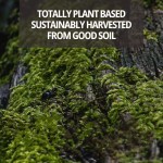 Vitamin D3 K2 Gummies Manufacturer - Private Label Low Sugar Bone Support