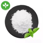 Rebaudioside M Powder Factory - Stevia Reb M 98% Natural Sweetener