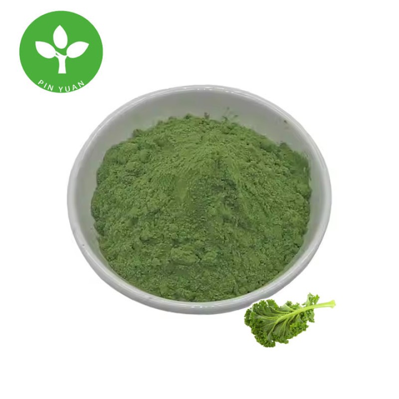 Kale Powder Factory - Organic Natural Food Grade Kale Powder