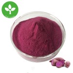 Purple Yam Powder Supplier - Organic UBE Powder Food Grade Pure
