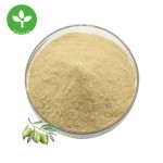 Oleuropein Powder Supplier - Natural Organic Olive Leaf Extract Powder