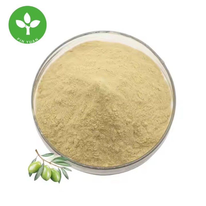 Oleuropein Powder Supplier - Natural Organic Olive Leaf Extract Powder