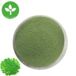 Moringa Leaf Powder Manufacturer - Bulk Food Grade Moringa Powder