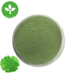 Moringa Leaf Powder Manufacturer - Bulk Food Grade Moringa Powder
