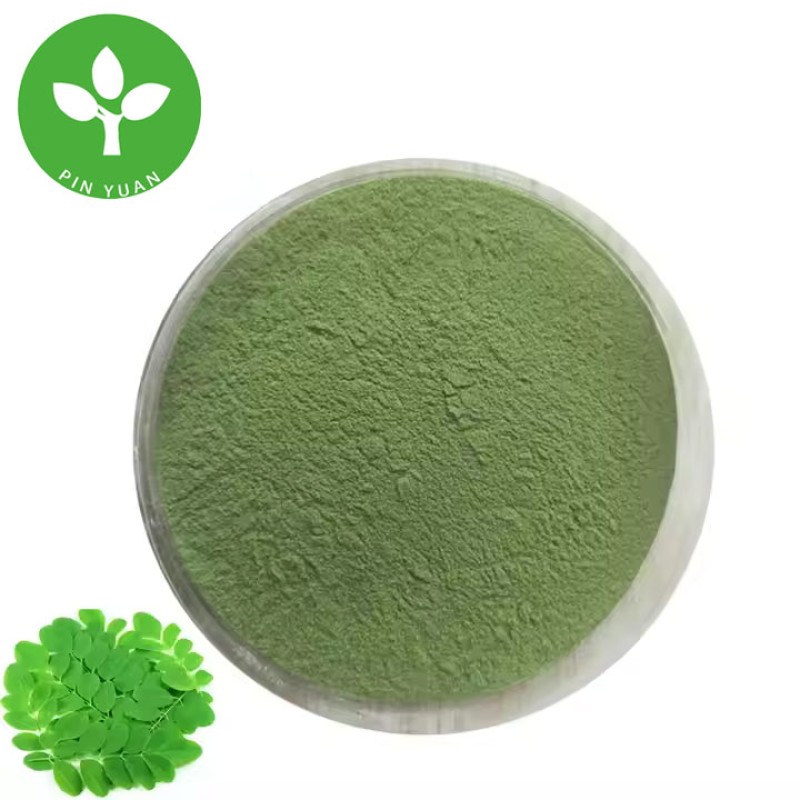 Moringa Leaf Powder Manufacturer - Bulk Food Grade Moringa Powder
