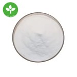 Coconut Powder Factory - Natural Water Soluble Coconut Juice Powder