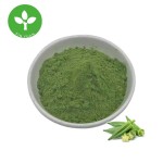 Okra Powder Manufacturer - Bulk Organic Food Grade Pure Okra Powder