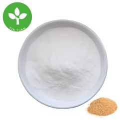 Ferulic Acid Powder Manufacturer - 98% Pure Natural Rice Bran Extract