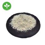 Natamycin Powder Manufacturer - High Quality Food Preservative 50%