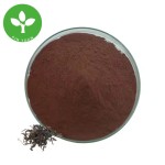 Black Tea Powder Manufacturer - Water Soluble Instant Black Tea Extract