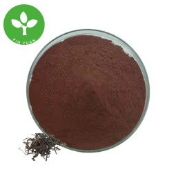 Black Tea Powder Manufacturer - Water Soluble Instant Black Tea Extract