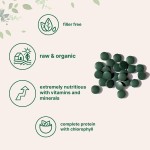 Spirulina Capsules Factory - Premium Organic Spirulina Chlorella Tablets