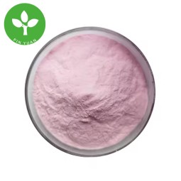 Strawberry Powder Factory - Food Grade Organic Strawberry Juice Powder