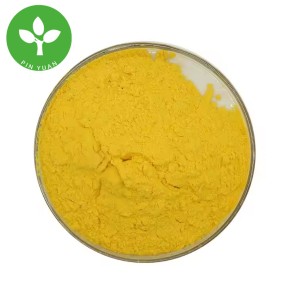 Folic Acid Powder Manufacturer - Food Grade Vitamin B9 99% Powder