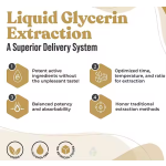 Maca Root Drops Supplier - Organic Energy Boost Healthcare Supplement