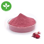 Beetroot Powder Supplier - Natural Pigment Food Grade Organic Powder