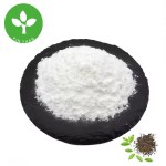 EGCG Powder Manufacturer - High Quality Green Tea Extract 98% HPLC
