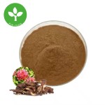 Salidroside Powder Manufacturer - 3% Rosavin Rhodiola Root Extract