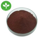 Black Tea Powder Manufacturer - Water Soluble Instant Black Tea Extract