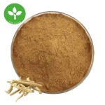 Withanolides Powder Factory - Natural Ashwagandha Root Extract 2.5-5%