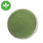 Moringa Leaf Powder Manufacturer - Bulk Food Grade Moringa Powder