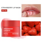 Lip Moisturizer Manufacturer - Organic Sheet Cherry VC Flavors Hydrating Repairing