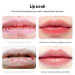 Lip Scrub Supplier - Organic Natural Lightening Moisturizing Exfoliating Pink Color