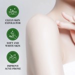 Sugar Scrub Factory - OEM Body Face 3 Flavors Coconut Aloe Vera Turmeric Infused